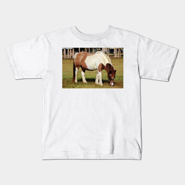 American Paint Horse Kids T-Shirt by Cynthia48